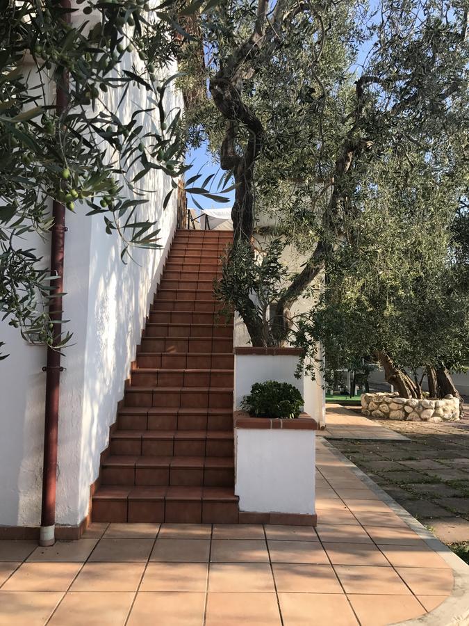 Apollo Villa Mattinata Exterior photo
